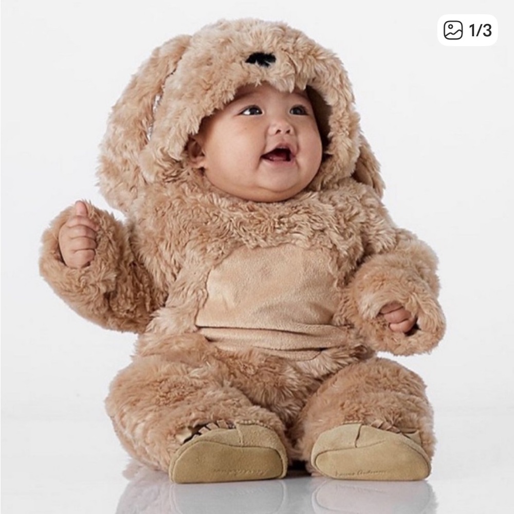 Pottery Barn Kids Baby Halloween Costume Retriever Puppy Dog 6-12M